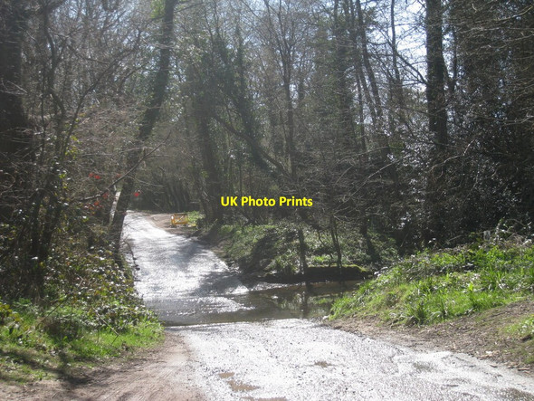 Photo 6"x4" Ford on Palesgate Lane Heathfield\/TQ5630 c2010