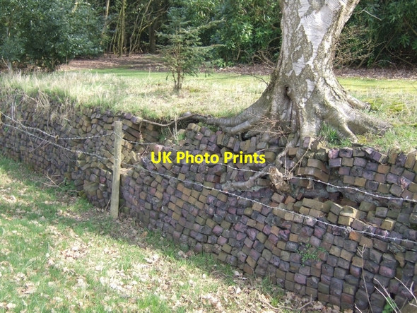 Photo 6"x4" Boundary wall to woodland - Blithfield Hall Admaston\/SK0523 c2010
