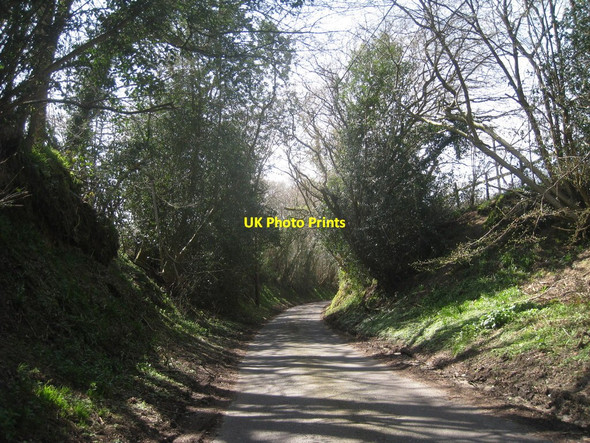 Photo 6"x4" Fowly Lane Potter's Green\/TQ5023 c2010