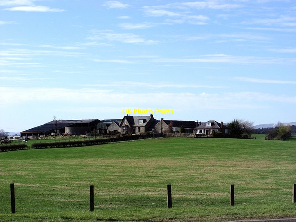 Photo 6"x4" Badenheath Farm Blackwood\/NS7274 c2010