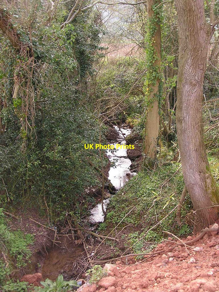 Photo 6"x4" Stream near Ubley Compton Martin c2010