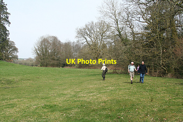 Photo 6"x4" Uplowman: near Uplowman Court Green Gate\/ST0115 c2010