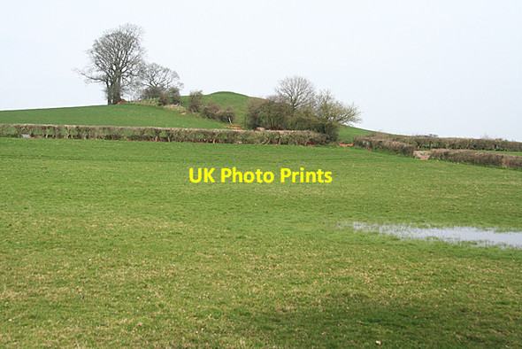 Photo 6"x4" Sampford Peverell: Paulet Hill Sampford Peverell c2010