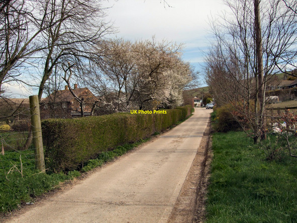 Photo 6"x4" Footpath to Saltdean Boarding Kennels Telscombe c2010