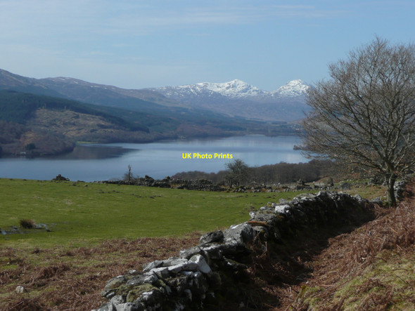 Photo 6"x4" Dry stone wall and pasture Ardeonaig c2010
