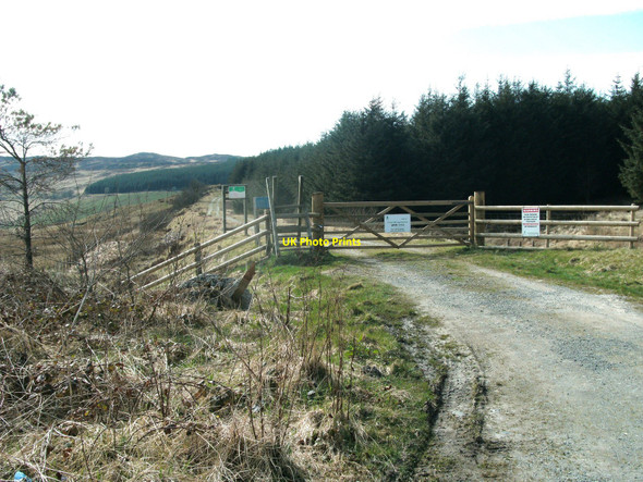 Photo 6"x4" Farm track off the A4212 on trackbed of  railway Llyn Tryweryn c2010