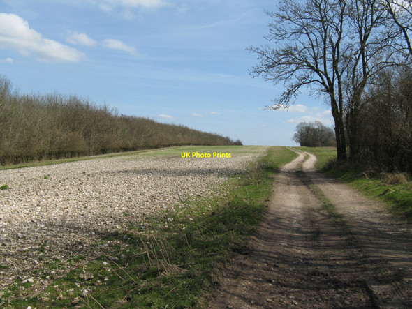Photo 6"x4" Eastbound on the South Downs Way Graffham c2010