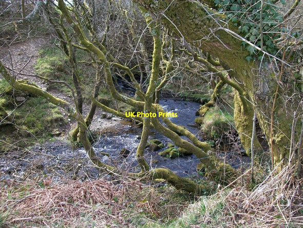 Photo 6"x4" Afon Erch above Pont Maen-llwyd Llangybi\/SH4241 c2010