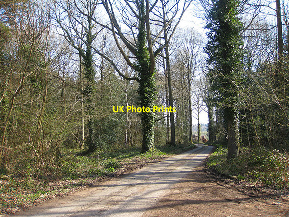 Photo 6"x4" Lane to Steelworks and Steelworks Farm Gorsley Common c2010