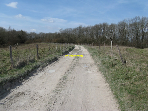 Photo 6"x4" Chalky byway to Woolavington Down East Lavington c2010