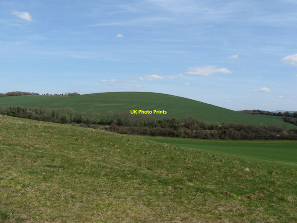 Photo 6"x4" Duncton Down hillside East Lavington c2010