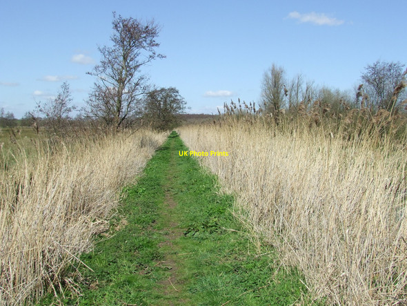 Photo 6"x4" River Bank Middleton\/TM4367 c2010
