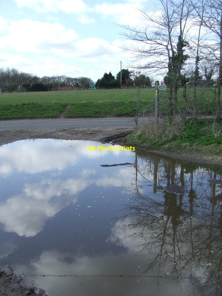 Photo 6"x4" Big Puddle Middleton\/TM4367 c2010