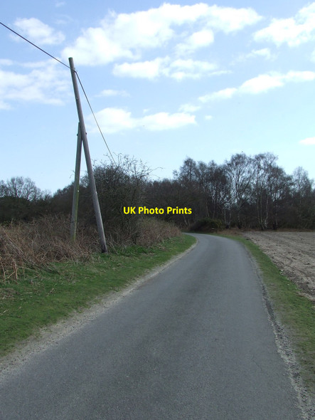 Photo 6"x4" The Leaning Pole Of Westleton Westleton c2010