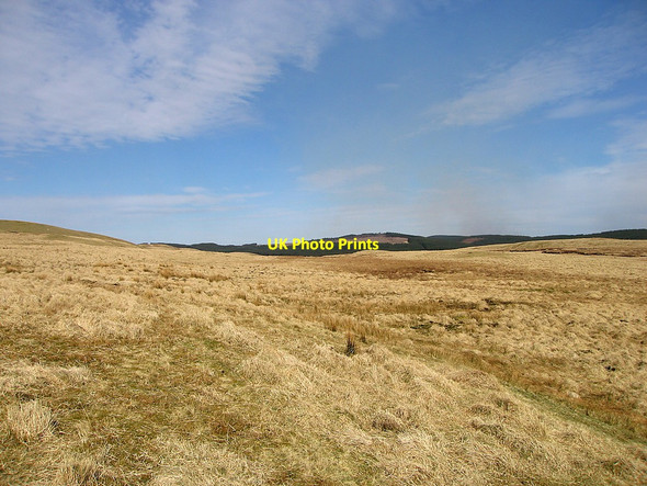 Photo 6"x4" Along Esgair Ambor Esgair Ambor c2010