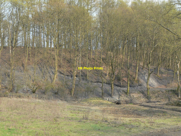 Photo 6"x4" Tanyard spoil heap Ripley\/SK4050 c2010