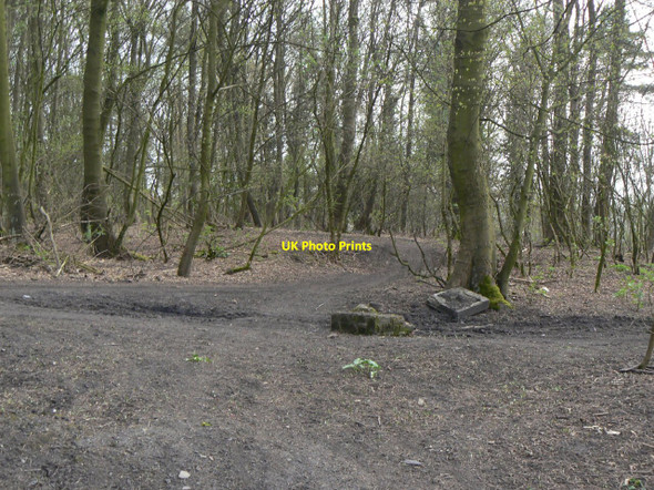 Photo 6"x4" Butterley Park No.5 Colliery (High Holborn) Ripley\/SK4050 c2010