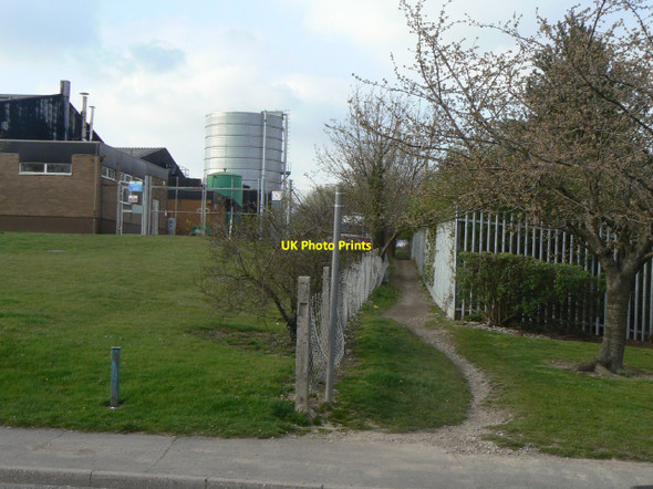 Photo 6"x4" Footpath through the estate Ripley\/SK4050 c2010