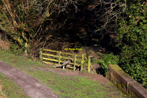 Photo 6"x4" A stile into Jeffrey's Wood Pont Cysyllte c2010