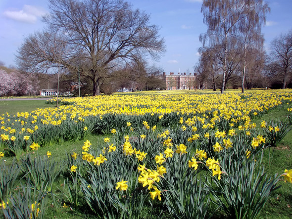 Photo 6"x4" Trent Park House, London N14 Botany Bay\/TQ2999 c2010 P1