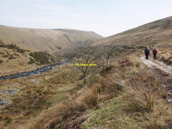 Photo 6"x4" Track, above the River Erme Harford\/SX6359 c2010