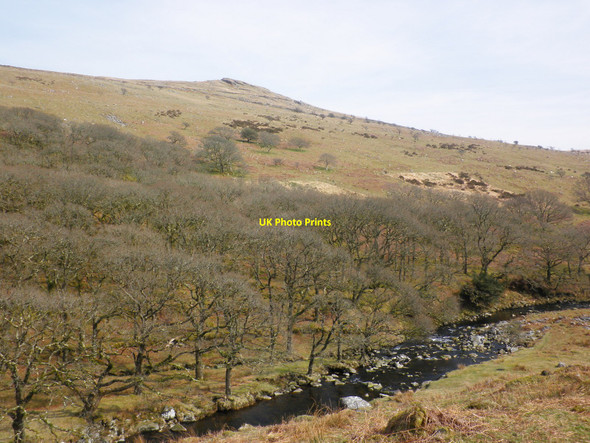 Photo 6"x4" Sharp Tor looms above the River Erme Harford\/SX6359 c2010