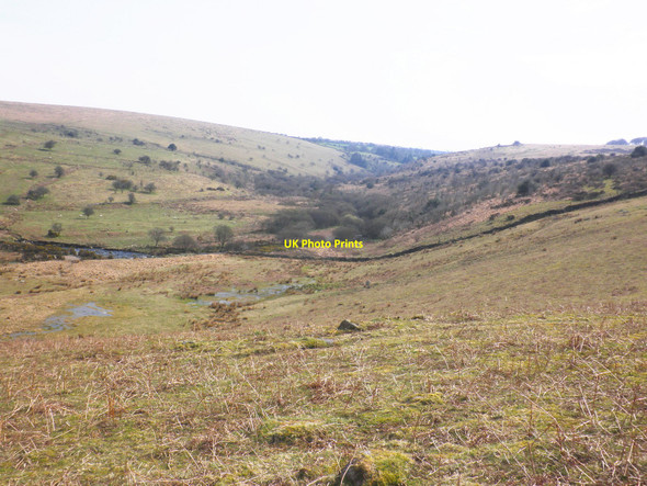 Photo 6"x4" Looking down the Erme Valley Harford\/SX6359 c2010