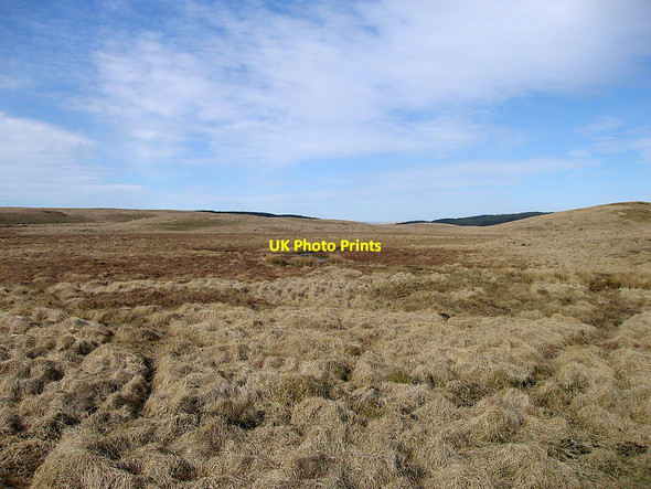 Photo 6"x4" Source grounds of the Afon Camddwr Llyn Crugnant c2010