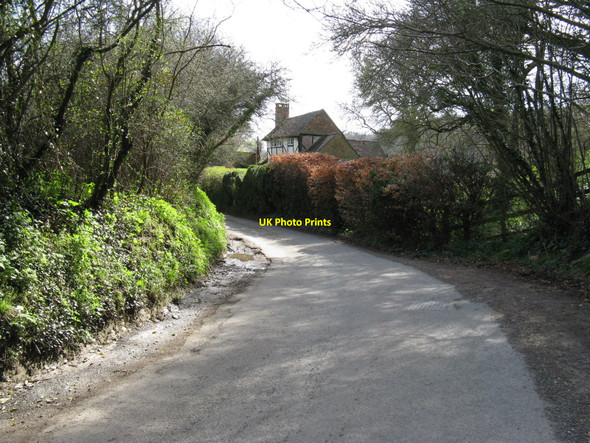 Photo 6"x4" Folly Cottage on Folly Lane Sutton\/SU9715 c2010