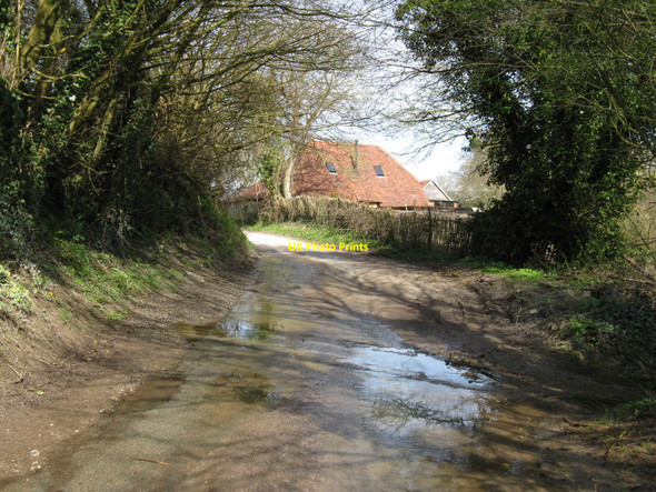 Photo 6"x4" Converted barn at Haslands Farm Sutton\/SU9715 c2010