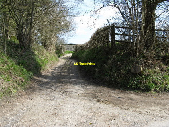 Photo 6"x4" Footpath to Sutton off Folly Lane Sutton\/SU9715 c2010