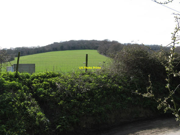 Photo 6"x4" Hillside pasture west of Folly Lane Sutton\/SU9715 c2010