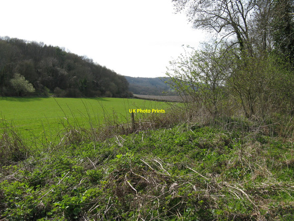 Photo 6"x4" Downland view from bridleway near Duncton Mill Barlavington c2010