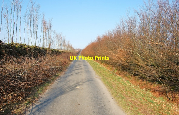 Photo 6"x4" Exmoor: Lane looking towards Alderman's Barrow Edgcott\/SS8438 c2010