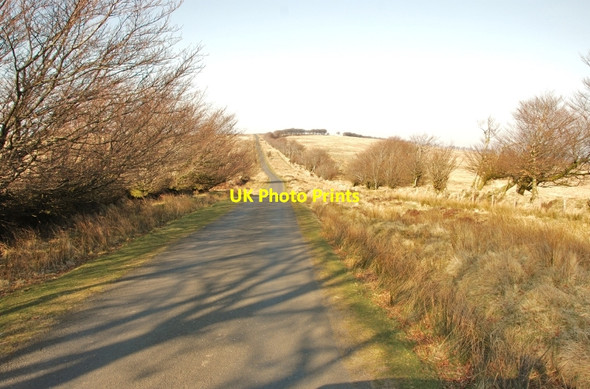 Photo 6"x4" Exmoor: Lane looking leading to Lucott Cross Alderman's Barrow c2010