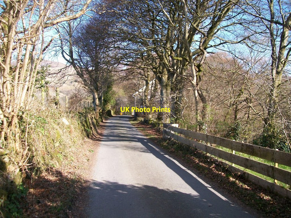 Photo 6"x4" Lane northwards to Cwm Pennant from the centre of the hamlet of Golan Golan c2010