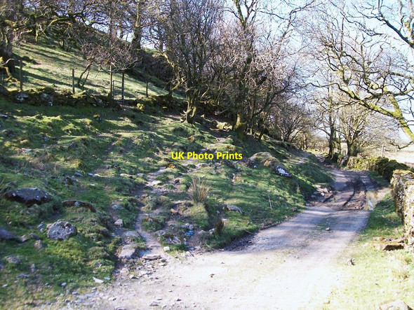 Photo 6"x4" Farm track at Gesail Gyfarch Penmorfa\/SH5440 c2010