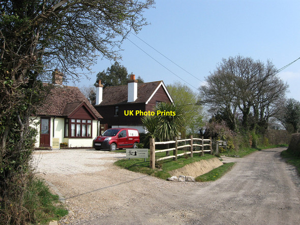 Photo 6"x4" Marshfoot Cattery Hailsham c2010