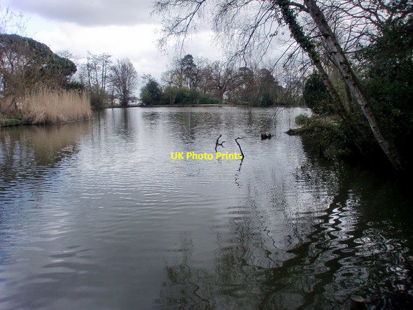 Photo 6"x4" Lake, Oakmere Park, Potters Bar, Hertfordshire Potters Bar c2010