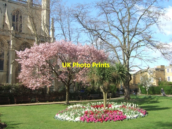 Photo 6"x4" St Luke's Gardens Westminster c2010