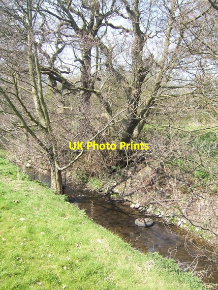 Photo 6"x4" Waterhead Brook at Moseley Bushbury\/SJ9203 c2010