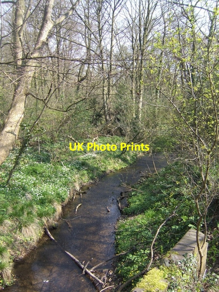 Photo 6"x4" Waterhead Brook upstream at Moseley Court Bushbury\/SJ9203 c2010