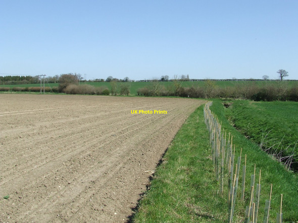 Photo 6"x4" New Hedge Candle Street c2010