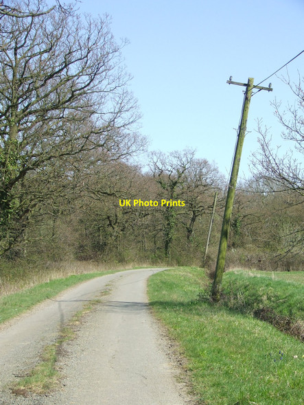 Photo 6"x4" The Leaning Pole Of Wattisfield Bobby Hill c2010