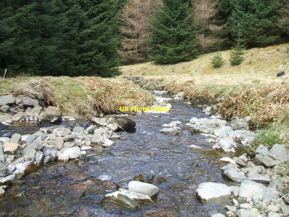 Photo 6"x4" Glencraigie Burn Onweather Hill c2010