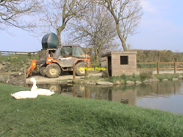 Photo 6"x4" Farm at Bigni Y Ferwig c2010