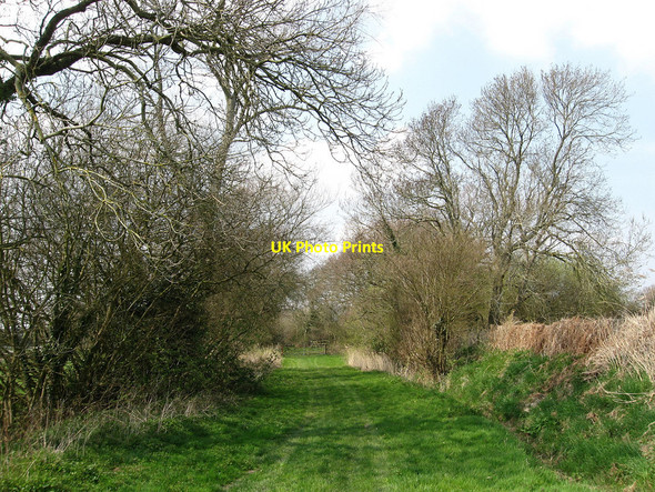 Photo 6"x4" Farm Track, Tile Lodge Farm Hailsham c2010