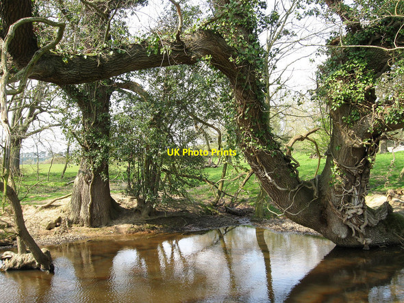Photo 6"x4" Pond near Banky Field Hailsham c2010