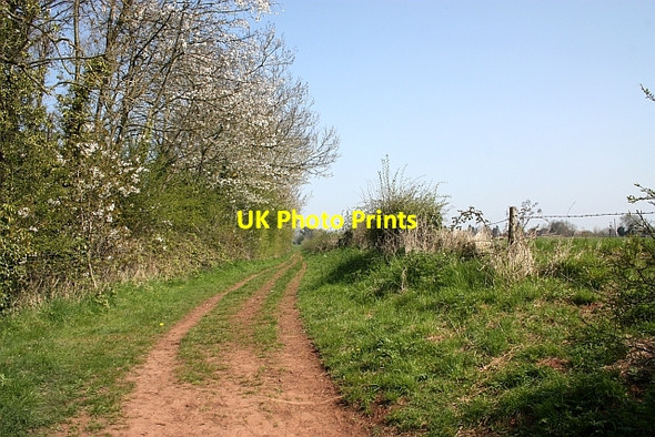 Photo 6"x4" Bridleway to Redmarley D'Abitot Murrell's End\/SO7430 c2010