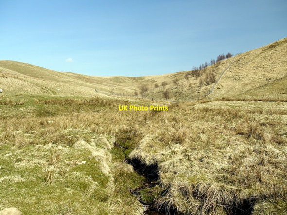 Photo 6"x4" Green Cleugh west of Yearning Law Rennies Burn c2010